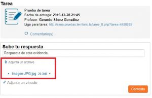 Territorium SENA Evidencias adjuntar archivo